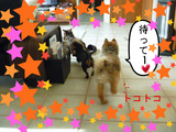 BlogPaint