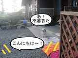BlogPaint