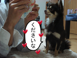 BlogPaint