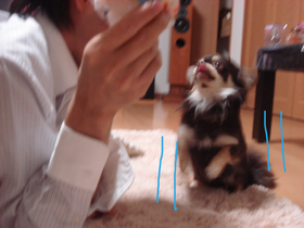 BlogPaint