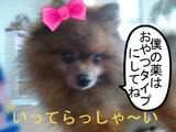 BlogPaint