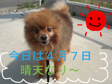 BlogPaint