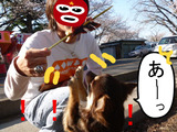 BlogPaint