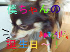 BlogPaint