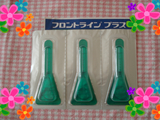 BlogPaint