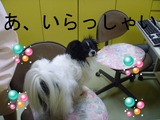 BlogPaint