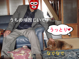 BlogPaint