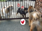BlogPaint
