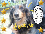 BlogPaint