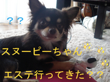 BlogPaint