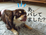 BlogPaint