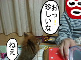 BlogPaint