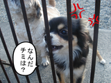 BlogPaint
