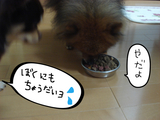 BlogPaint