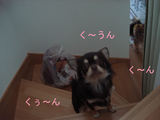 BlogPaint