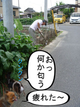 BlogPaint