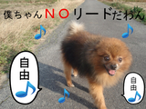BlogPaint
