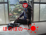 BlogPaint