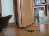 BlogPaint