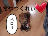 BlogPaint