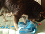 BlogPaint