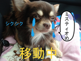 BlogPaint