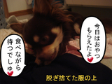 BlogPaint