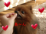 BlogPaint