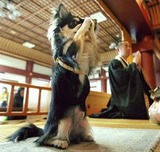 08012301_Konan_03