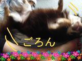 BlogPaint