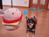 BlogPaint