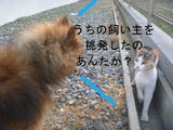 BlogPaint