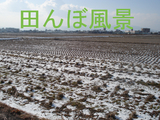 BlogPaint