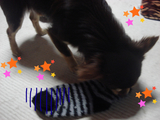 BlogPaint