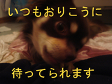 BlogPaint