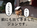 BlogPaint
