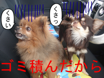 BlogPaint