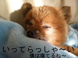 BlogPaint