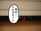 BlogPaint