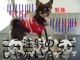 BlogPaint