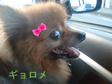BlogPaint