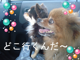 BlogPaint
