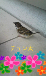 BlogPaint