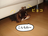 BlogPaint
