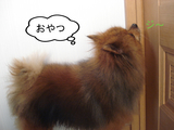 BlogPaint
