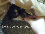 BlogPaint