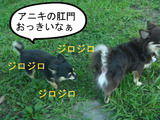 BlogPaint