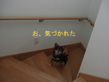 BlogPaint