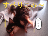 BlogPaint