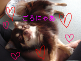 BlogPaint